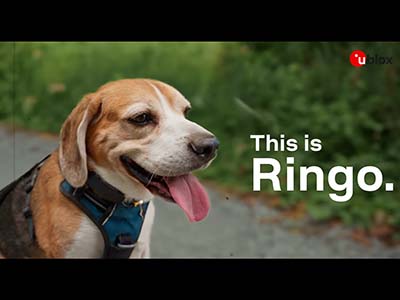 具備u-blox超低功耗精準定位(LEAP)解決方案的寵物追蹤裝置